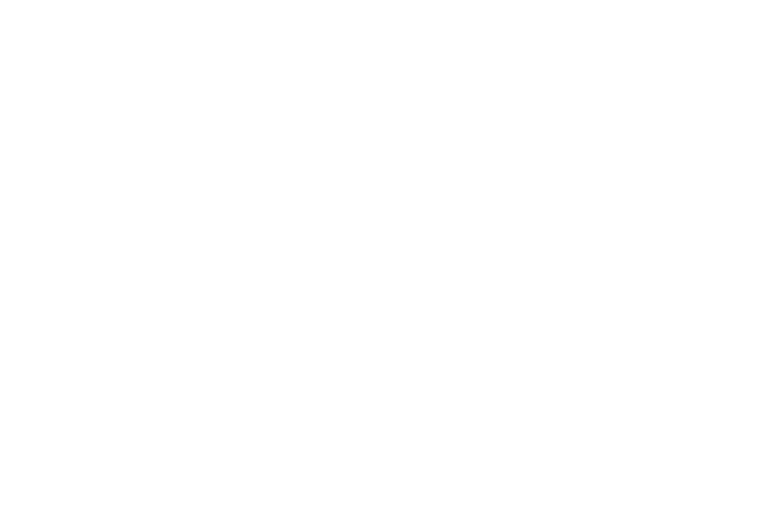 Global Agent